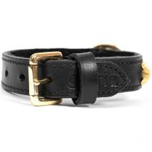 Collier pour chien Gloria dune noir or (50 x 2.5 cm)