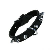 Collier pour Chien Gloria Noir Clous (55 cm)