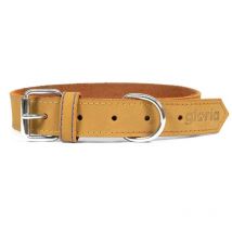 Collier pour chien Gloria oasis jaune (1.5 x 40 cm)