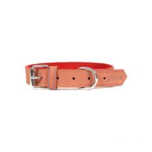 Collier pour Chien Gloria Oasis Rouge (45 x 1,8 cm)