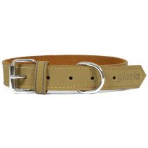 Collier pour chien Gloria oasis green (65 x 3 cm)