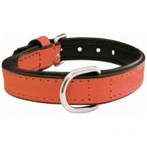 Collier pour chien gloria corail (50 x 2,5 cm)