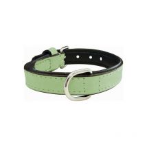 Collier pour Chien Gloria Rembourré Vert (45 x 2 cm)