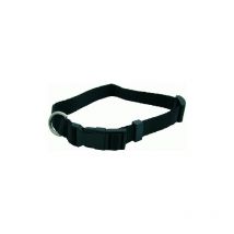 Collier pour chien nyolon avec fermeture a pression largeur 15 mm longueur 33 cm a 40 cm