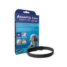 Collier s Chien (45 cm)