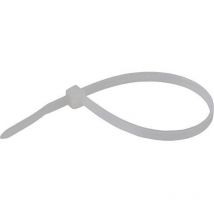 110379971 110379971 serre-câble 775 mm 9 mm naturel 100 pc(s) - WKK