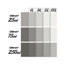 Colorant Universel concentré Richard flacon de 250 ml Colorant: noir