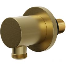 Round Brushed Brass Deluxe Shower Elbow - Brass - Colore