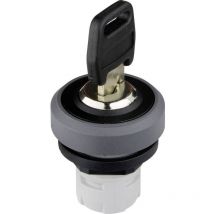 Schlegel - RKSSA25 oktron r RKSSA25 Commutateur à clé anthracite 1 pc(s) Y678401