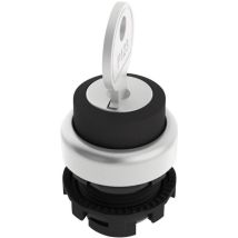 Pizzato Elettrica - E21sc2dva19aa E21sc2dva19aa Commutateur À Clé Noir 1 X 90 ° 1 Pc(s) D76142