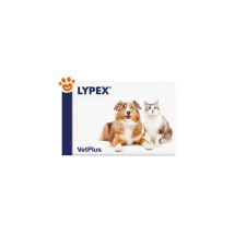 Vetplus – Mangime Complementare per Cani e Gatti Lypex – 60 Capsule – Enzimi Digestivi
