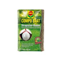 Mélange de semences de gazon COMPO SAAT – 175g – Résistant, régénératif, couleur profonde – Jardin piscine – Gazon