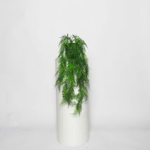 Composizione cespuglio Asparagus Felce u.v.r. con vaso ceramica vari colori - Bianco