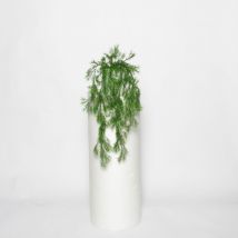 Composizione cespuglio Springeri u.v.r. con vaso ceramica vari colori - Rosa