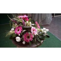 Composizione Pink – 8032953560593 – Piante verdi – 300 x 169 mm – Mediterraneo Garden