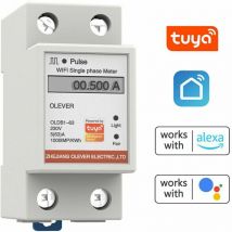 KZQ - Compteur Intelligent WiFi Tuya pour Comptage d'Énergie - Compteur monophasé - Contrôle via l'application mobile - Affichage de la tension, du