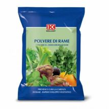 Concime Polvere di Rame 50% – 1 kg – Ideale per Prevenire Carenze nelle Piante