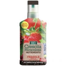 Blumen - group concime liquido per fragole, mirtilli, frutti di bosco - crescita miracolosa bio 200ML
