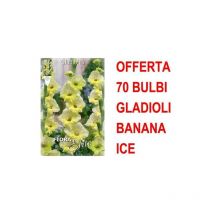 Engrais Pour Fraises Petits Fruits 1Kg Phyto Bio