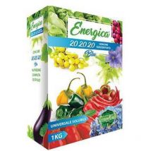 Concime polvere blu 20.20.20 energica