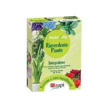 Concime Rinverdente 5 Buste da 20 grammi - Zapi
