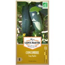 20 graines ab - Concombre long Anglais - La Ferme Sainte Marthe