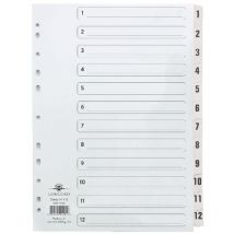 Concord Concord Classic Index 1-12 A4 180gsm Board White with Clear Mylar Tabs 0