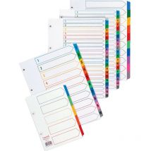 Index Multicoloured A4 Jan-Dec CS24 - Concord