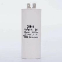 Condensatore 10 μF 450V – Elettricità – Capacità: 10 μF, Tensione: 450 V – Orlando