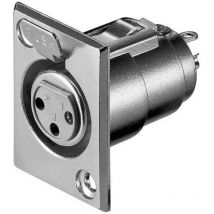 Markenlos - Wentronic xlr 187-3 xlr fm Acero Inoxidable - Conector (Acero Inoxidable)