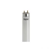 Confezione Neon Fluorescente T8 hl Trimax 36W G13 Luce Fredda 6500 (25 pezzi) Beghelli 25PZ-52107