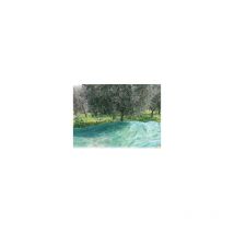 Rete per olive antispine mt. 10x12 (100 g/m) - Confine