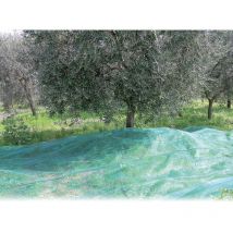 Rete per olive antispine mt. 6x 8 (100 g/m) - Confine