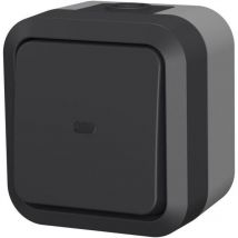 Conmutador con indicador luminoso - 250V, 10AX Quarx