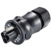 Conn. Enfichable Mâle Rst20i3 D 10-14mm Wieland 96.032.0153.1 D10728