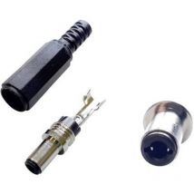 Bkl Electronic - connecteur basse tension mâle, droit 075253 ø extérieur: 5.50 mm 2.10 mm 1 pc(s)