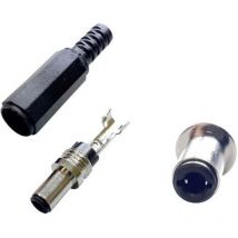 Bkl Electronic - connecteur basse tension mâle, droit 075254 ø extérieur: 5.50 mm 2.50 mm 1 pc(s)