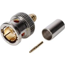 Hicon BNC0.8/3.7HD Connecteur BNC mâle, droit 75 Ω 1 pc(s)