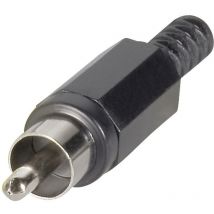 Cinch/RCA mâle, droit Bkl Electronic 072137/T Nombre de pôles: 2 noir 1 pc(s) D29397