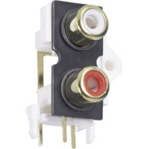 Cinch/RCA embase femelle, verticale Bkl Electronic 072384 Nombre de pôles: 2 or, rouge, blanc 1 pc(s) D28075
