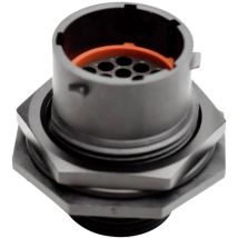 Amphenol - rts 7 14N 19P03 Cosse cylindrique mâle mâle, droit Nombre total de pôles: 19 Série (connecteur rond): Ecomate