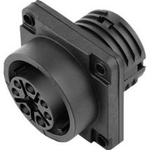 09 6520 000 12 Connecteur circulaire subminiature embase femelle Nombre total de pôles: 12 1 pc(s) - Binder