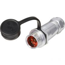 circulaire mâle, droit Ø 12 pôles IP67 Push-Pull Weipu SF1211/P4 I
