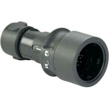 PXP6010/03S/ST Cosse cylindrique mâle femelle, droit Nombre total de pôles: 3 Série (connecteur rond): pxp 1 pc( - Bulgin