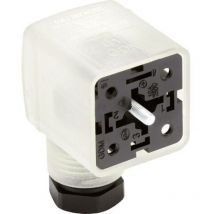 Lumberg Automation - Connecteur d'électrovanne série GDM21F6 transparent GDM21F6-L12-10D 934888016 Contenu: 1 pc(s)