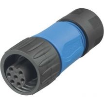 C016 30D006 110 10 Cosse cylindrique mâle femelle, droit Nombre total de pôles: 6 + pe Série (connecteur rond) - Amphenol