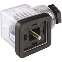 Connecteur pour électrovanne, Femelle, 2P+E, Montage sur câble 10A, 110 v c.c., PG11 ( Prix pour Paquet de 5 )