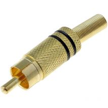 Adnauto - Connecteur rca Male - Noir - cable 5mm max - Or