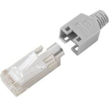 Hirose Electronic - Connectique Rj45 Cat5e Hirose Tm11 Rj45c5e-gr Rj45 Mâle, Droit Pôle: 8p8c Gris 1 Pc(s) D11003