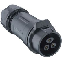 0261 02 Connecteur Rond Femelle, Droit Nombre Total De Pôles: 2 1 Pc(s) - Noir - Lumberg